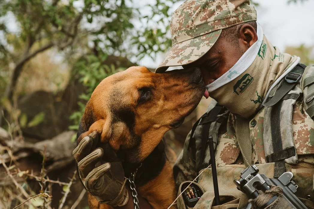 From bush to ocean, World Ranger Day salutes the defenders of the wild