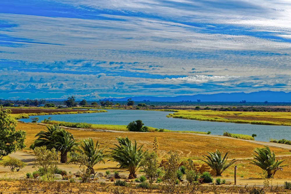 Twitchers will love these 'impeckable' spots in the Berg River region