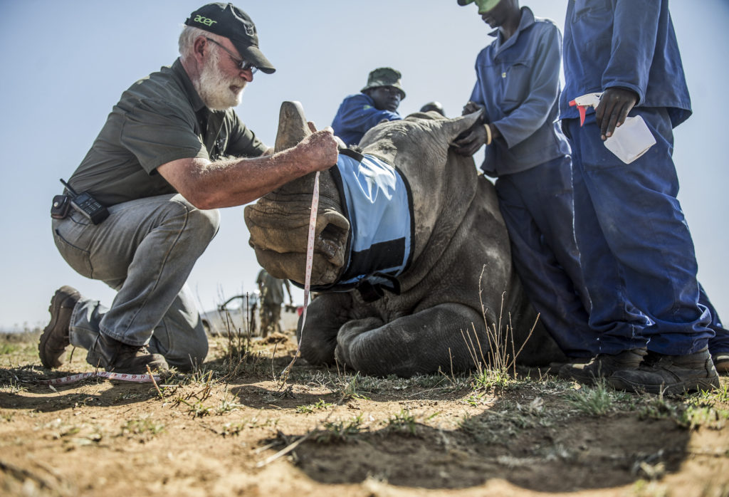 John Hume seeks billionaire investor to take over his rhino breeding farm