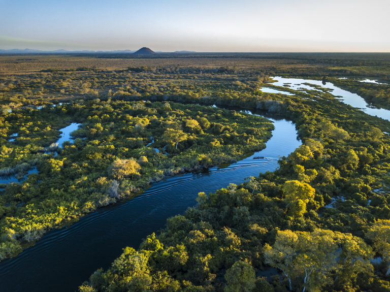 Study shows targets to reverse biodiversity decline may be inadequate Jarastyle travel