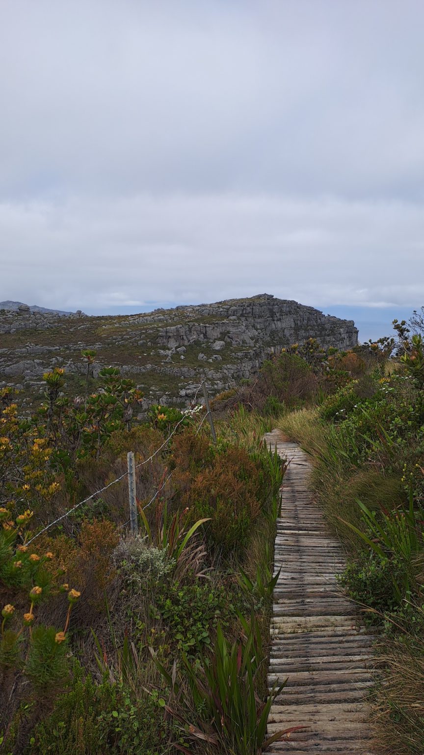 Hiking Table Mountain: The Ultimate Trail Guide