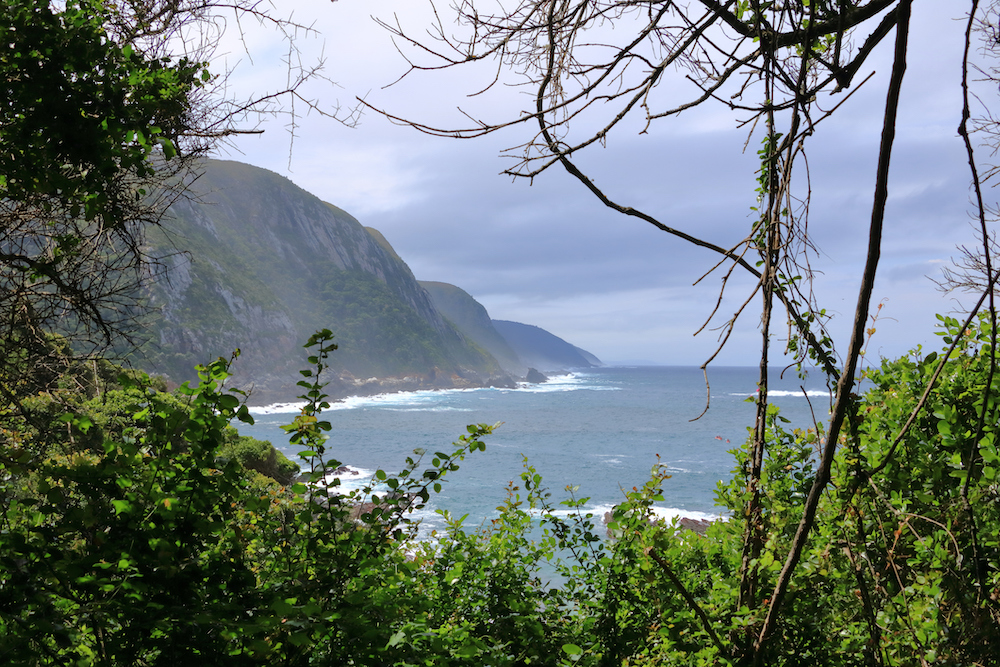 14 hikers rescued on Tsitsikamma hiking trail due to heavy rains Jarastyle travel