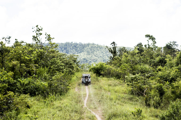 off-roading insurance