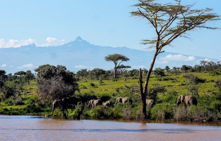 Kenya the top "old money" destination in Africa Jarastyle travel