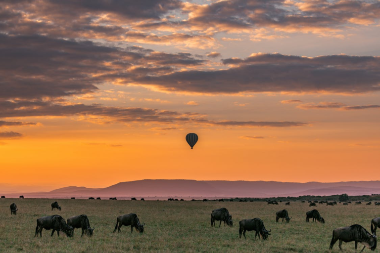 JW Marriott launches luxury safari lodge in Serengeti Jarastyle travel