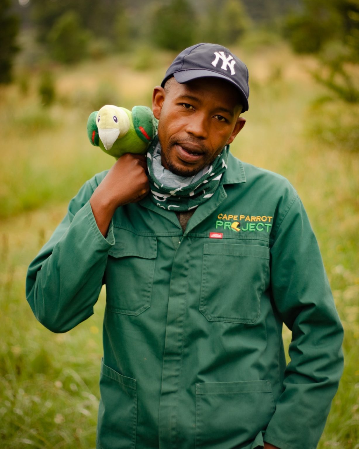 Young conservationists help research endangered Cape parrot