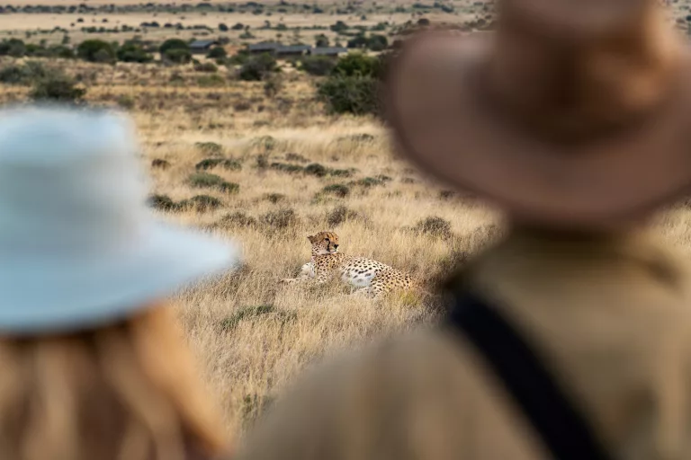 New Plains Camp launches at Samara Karoo Reserve Jarastyle travel