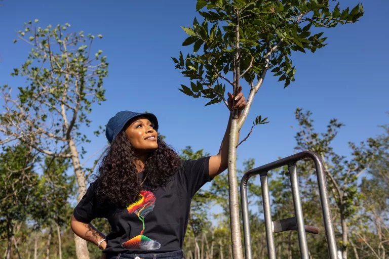 Trees for schools on Mandela Day Jarastyle travel