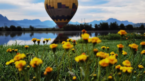 Ballooning Cape Town