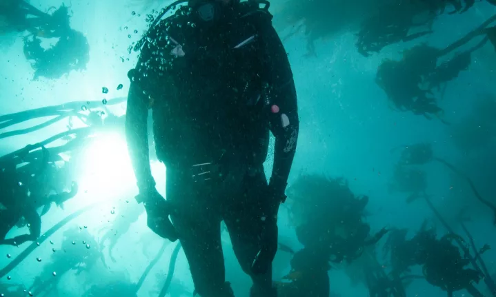 9 Questions with marine cinematographer Steve Benjamin