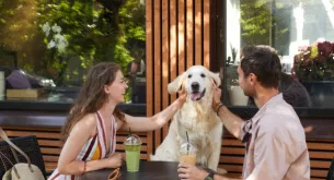 Pet-friendly restaurants