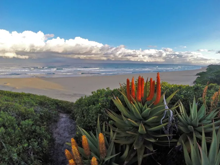 Cannon Rocks, Eastern Cape - Underrated Coastal Towns