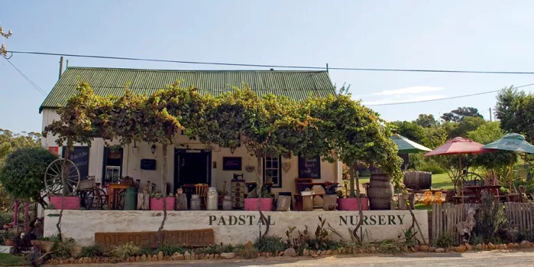 Napier Farm Stall