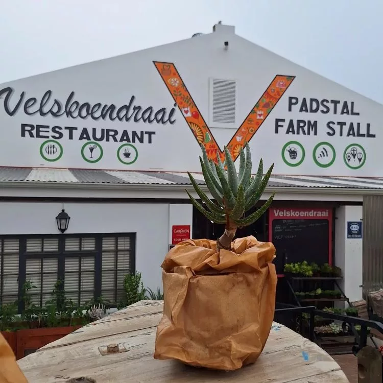 Velskoendraai Farm Stall and Restaurant