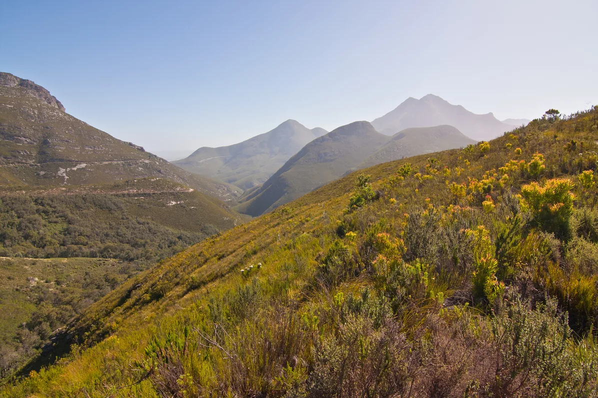 Montagu Pass 